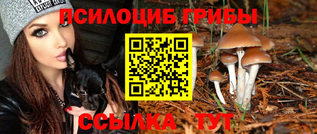 Пушкино  Галлюциногенные грибы ЛСД  Вход с VPN 