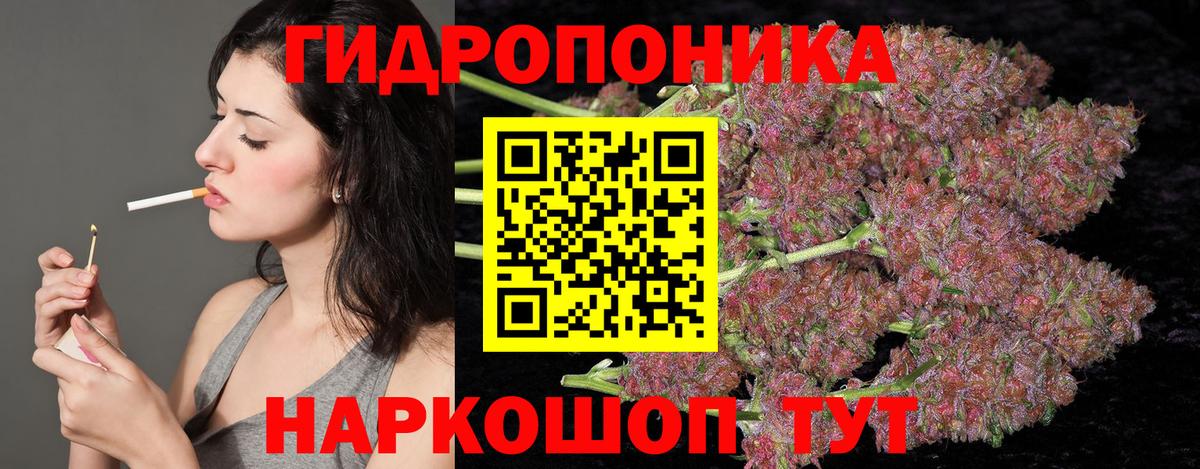 Бошки Шишки SATIVA & INDICA Пушкино